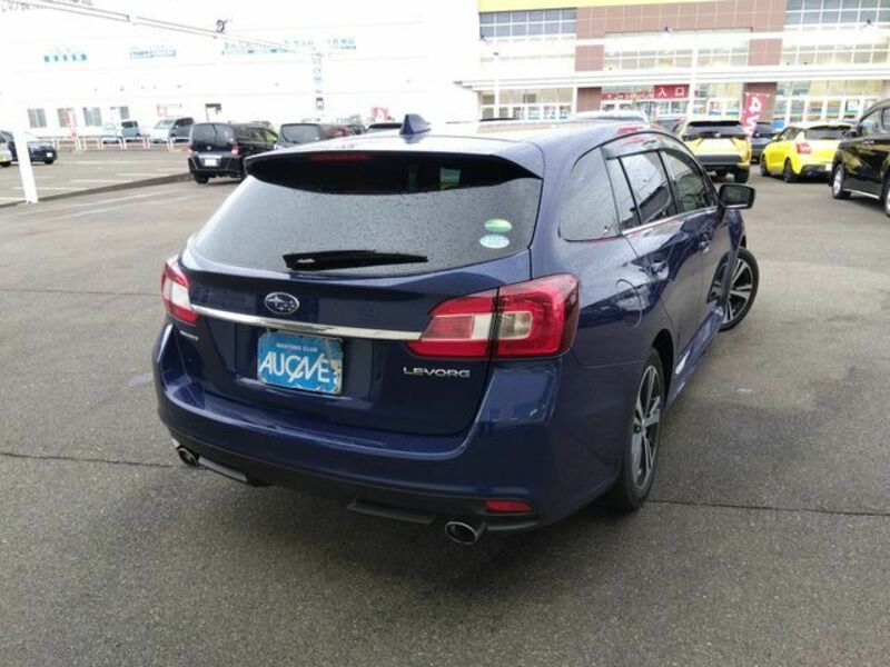 LEVORG-1