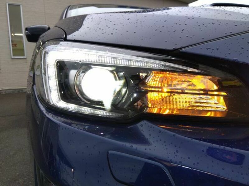 LEVORG-5