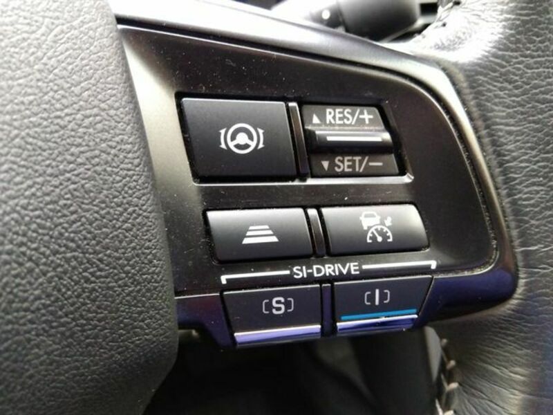 LEVORG-12