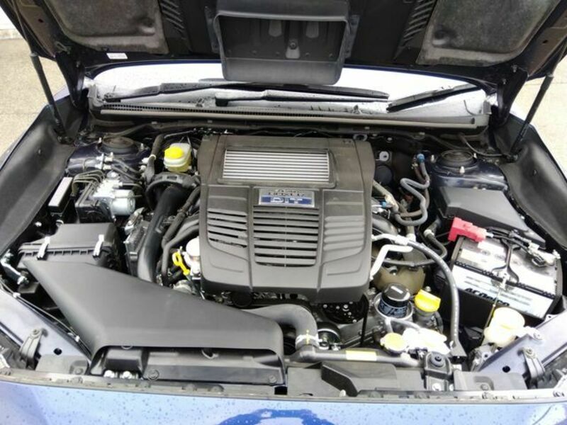 LEVORG-19