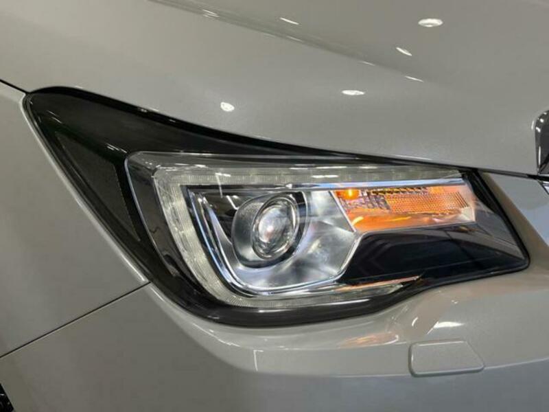 FORESTER-15