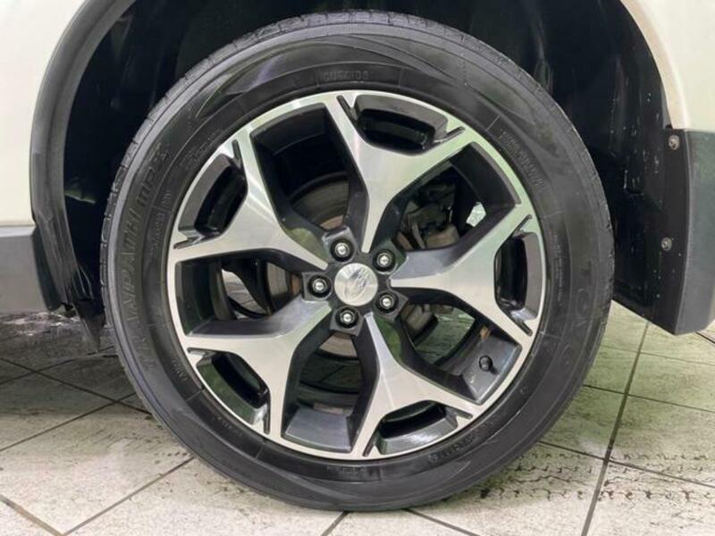FORESTER-16