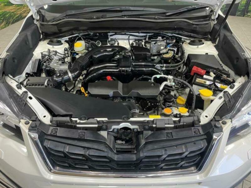 FORESTER-17