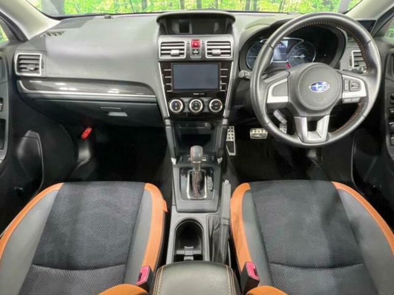 FORESTER-1