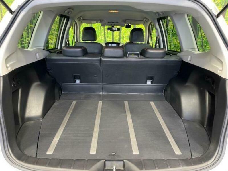 FORESTER-10