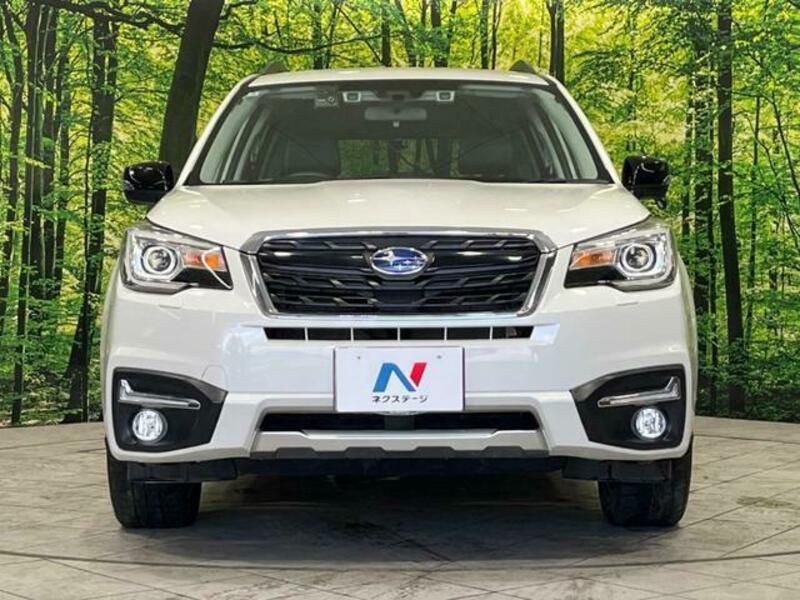 FORESTER-11