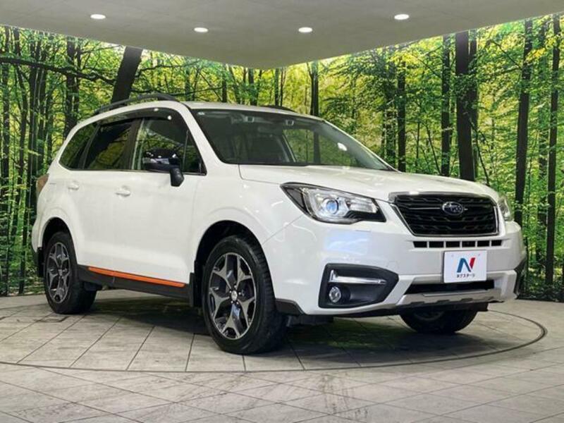 FORESTER-13
