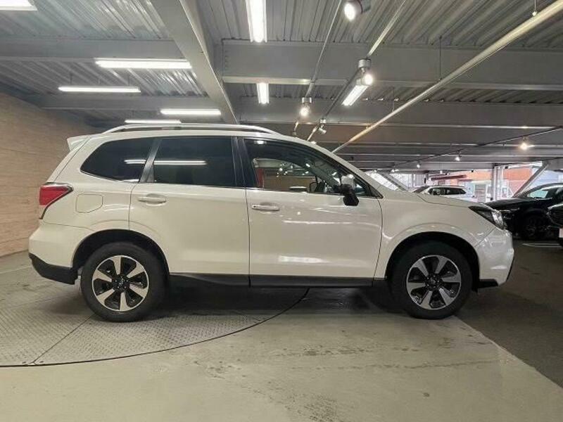 FORESTER-17