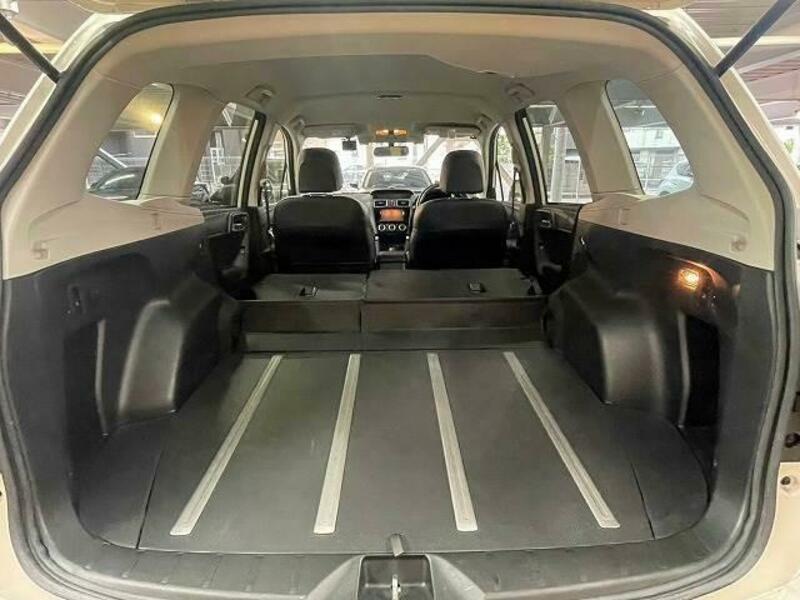 FORESTER-19