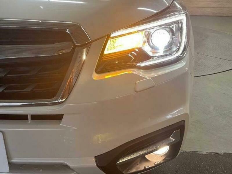 FORESTER-10