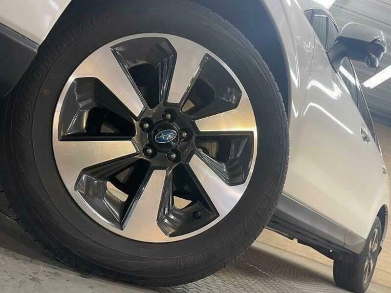 FORESTER-11