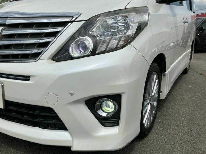 ALPHARD-21