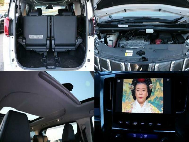 ALPHARD-6