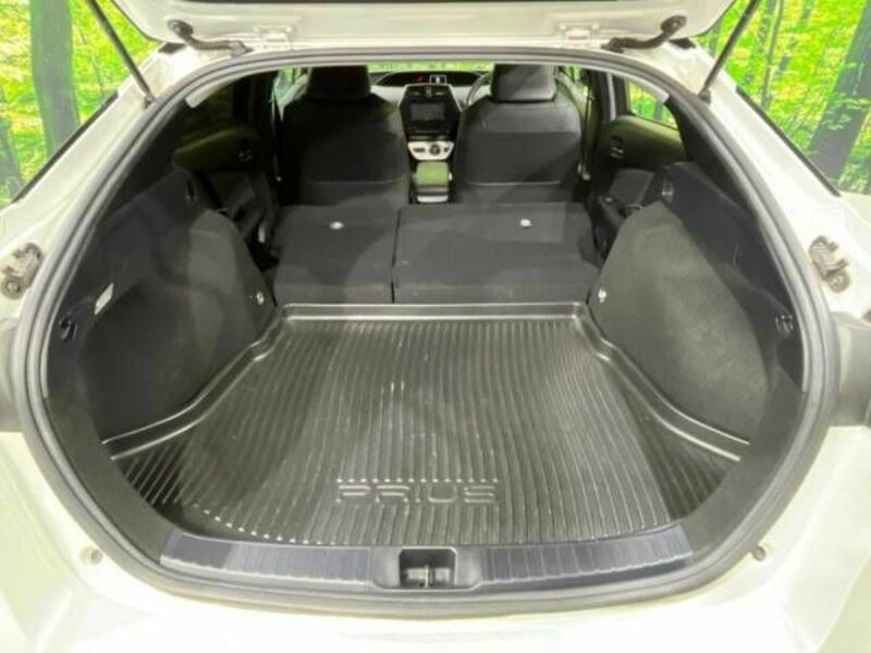 PRIUS-10