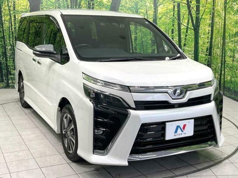 VOXY-17