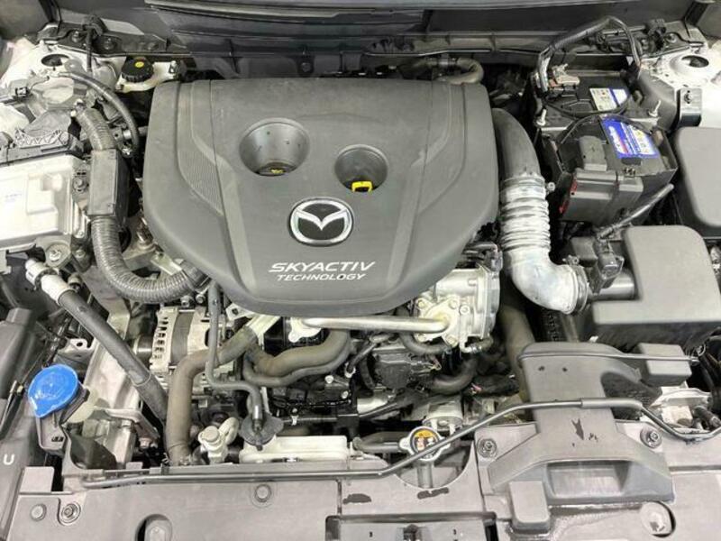 CX-3-18