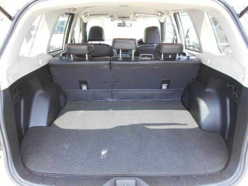 FORESTER-10