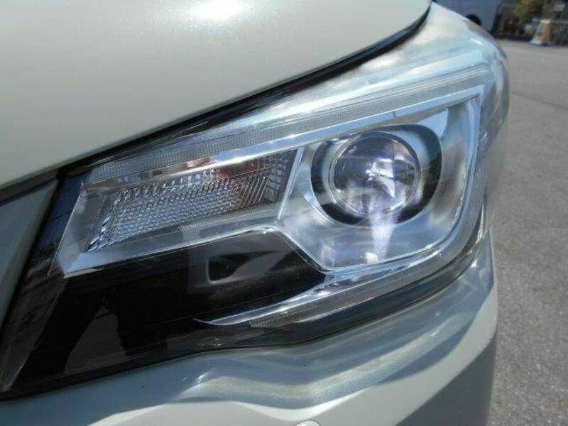 FORESTER-12
