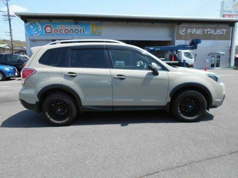 FORESTER-17