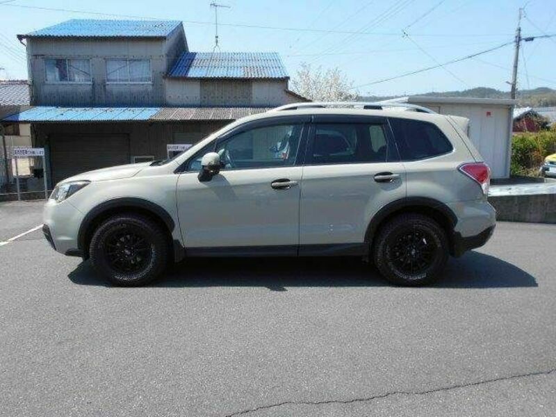 FORESTER-21