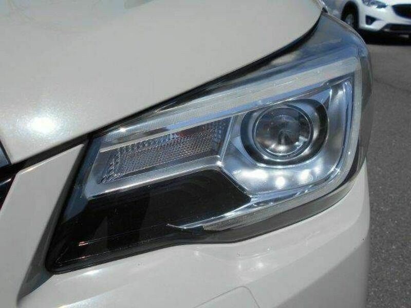 FORESTER-22