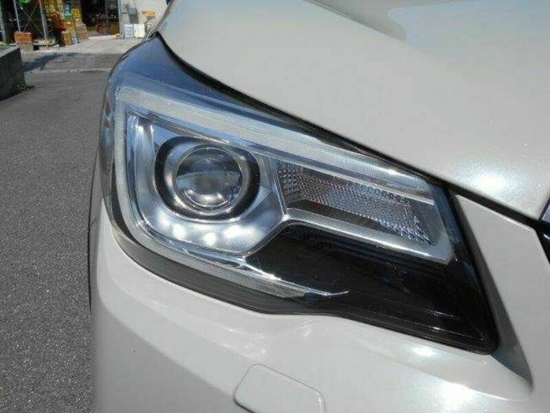 FORESTER-23