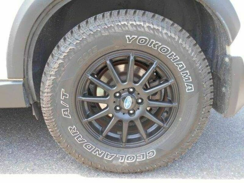 FORESTER-29