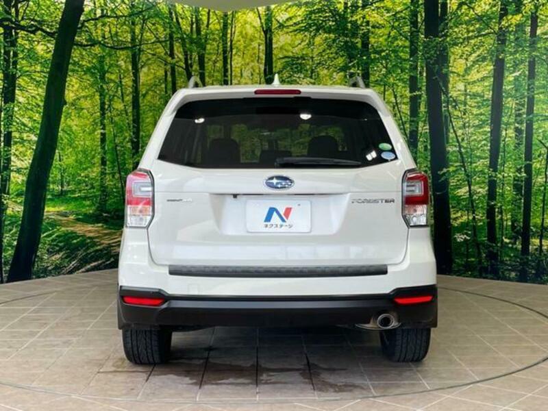 FORESTER-15