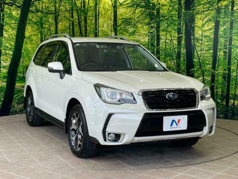 FORESTER-16
