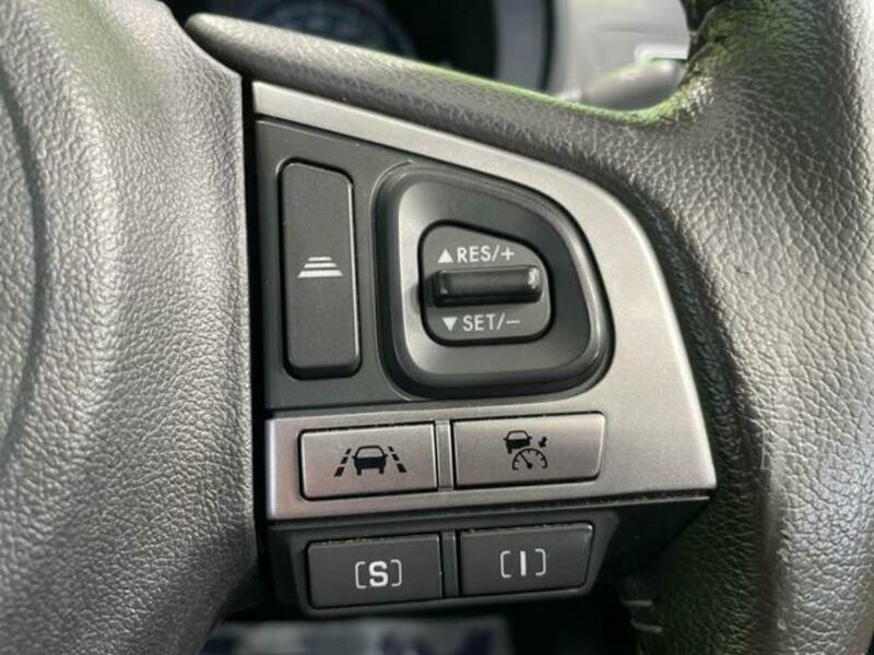 FORESTER-5