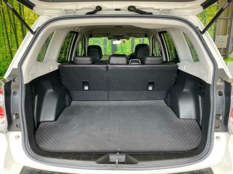 FORESTER-10