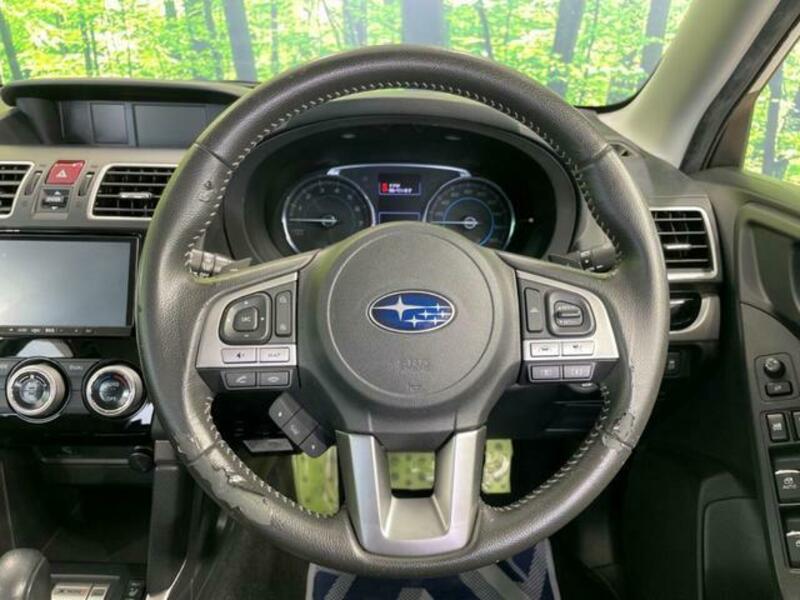 FORESTER-11