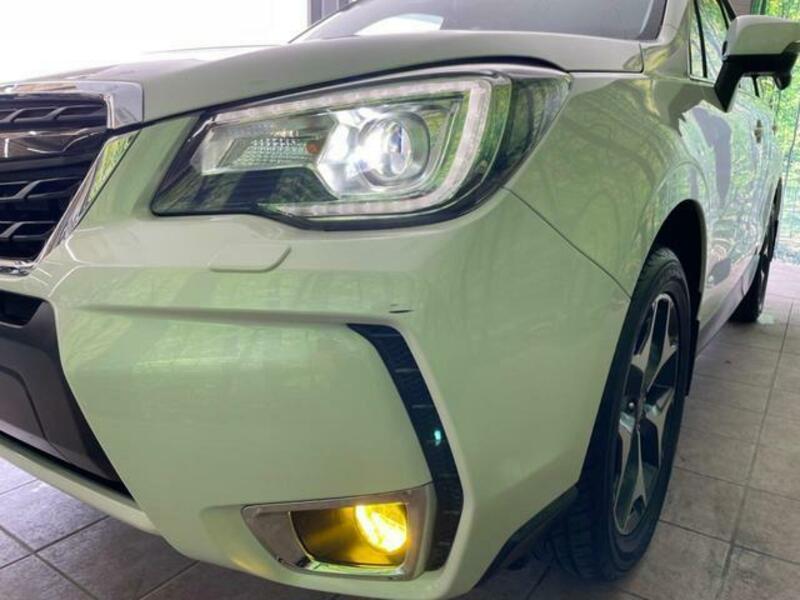 FORESTER-13