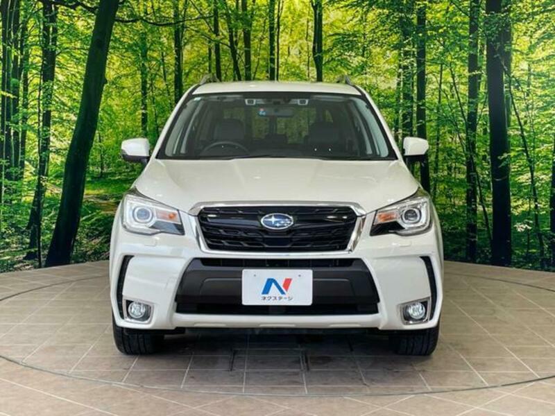FORESTER-14