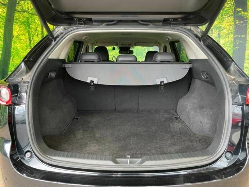 CX-5-11