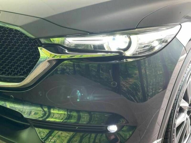 CX-5-13