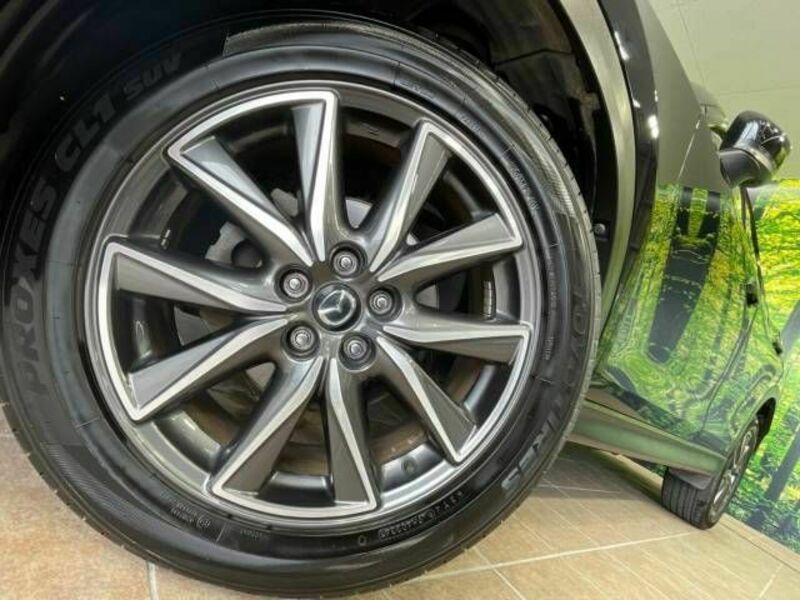 CX-5-14