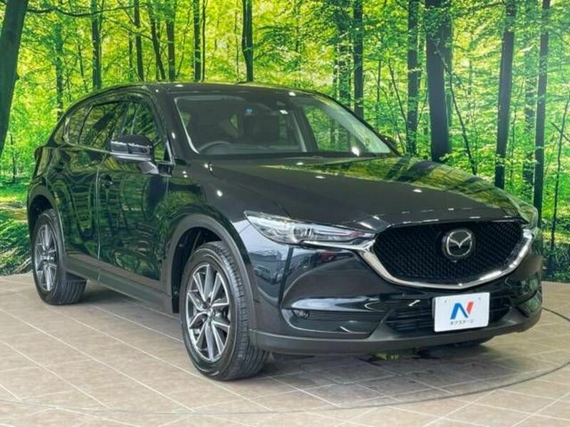 CX-5-17