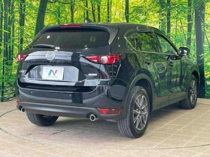 CX-5-18