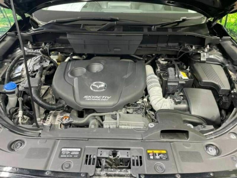 CX-5-19