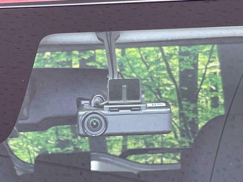 DAYZ ROOX-6
