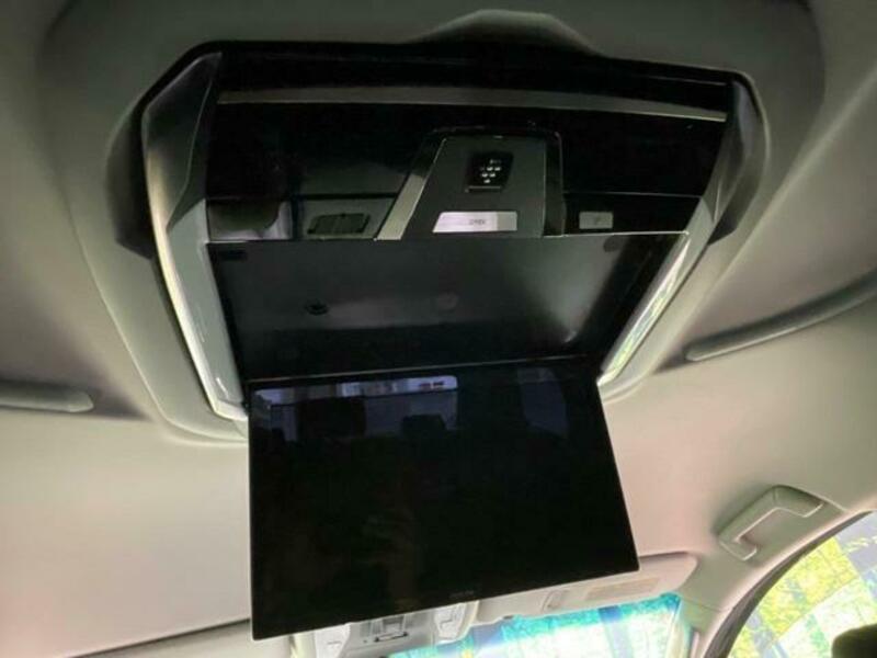 ALPHARD-6