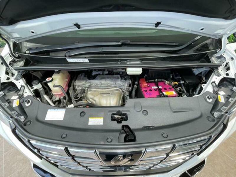 ALPHARD-18