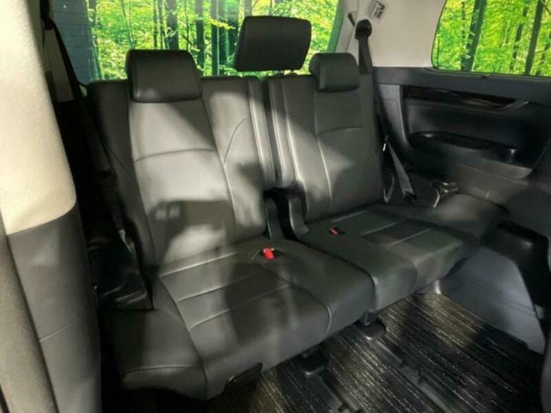 ALPHARD-10