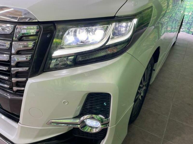 ALPHARD-12