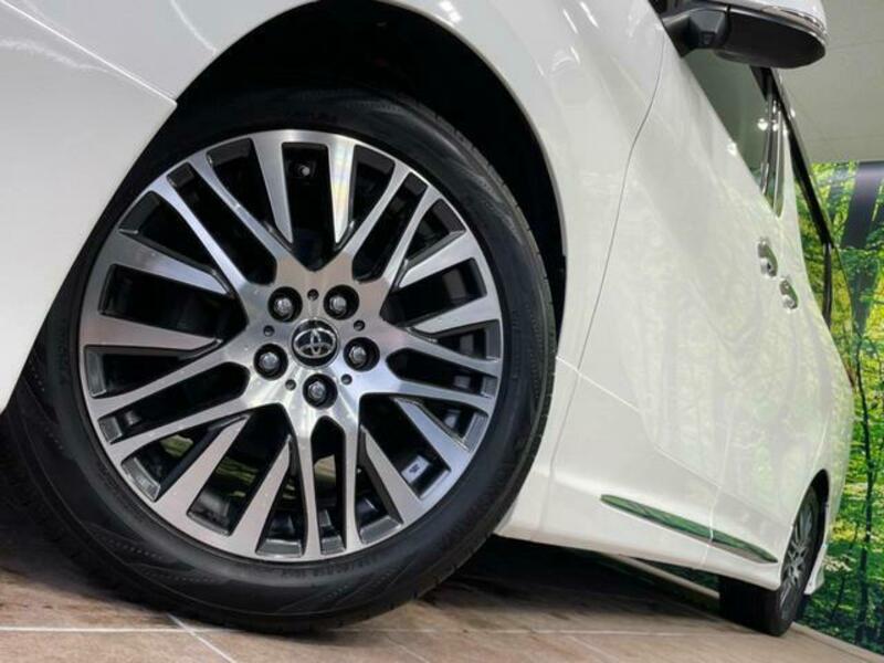 ALPHARD-13