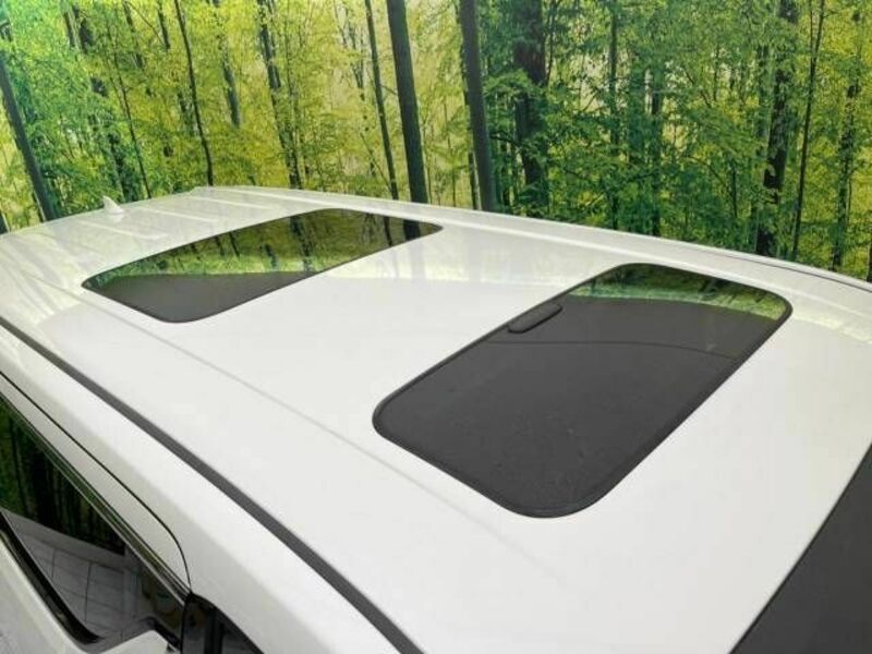 ALPHARD-2