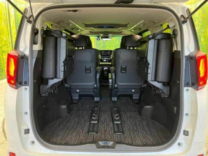 ALPHARD-10