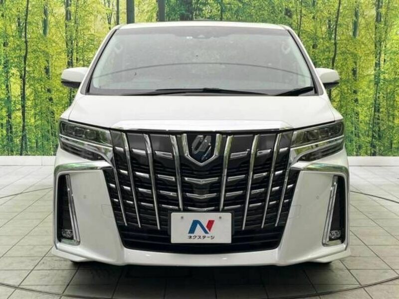ALPHARD-14