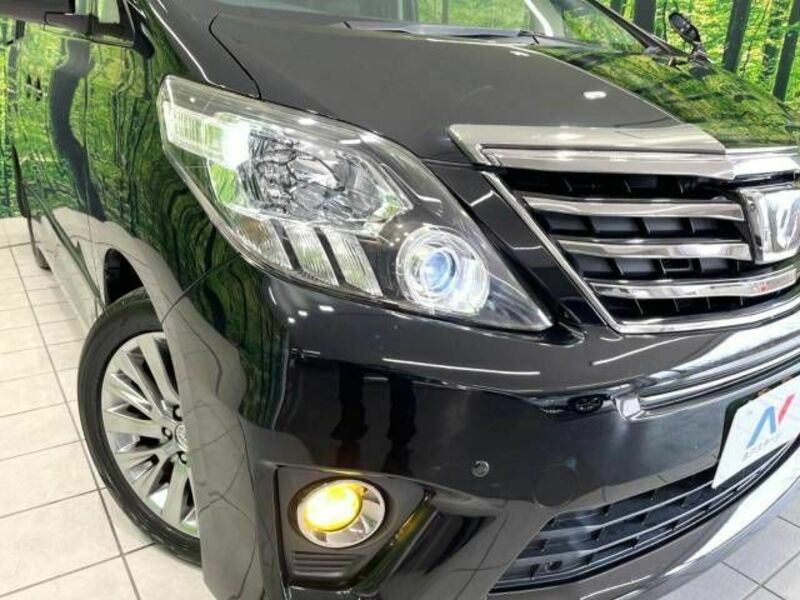 ALPHARD-13